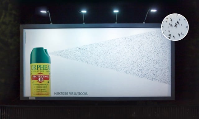 A billboard showing real insects stuck to it.