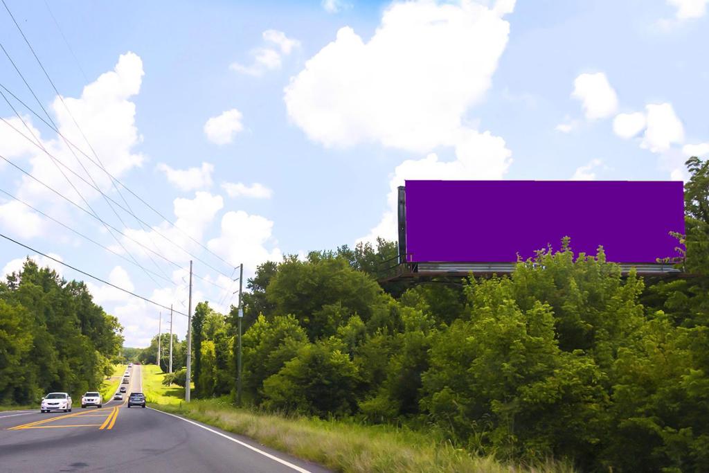 Photo of a billboard in Dawsonville