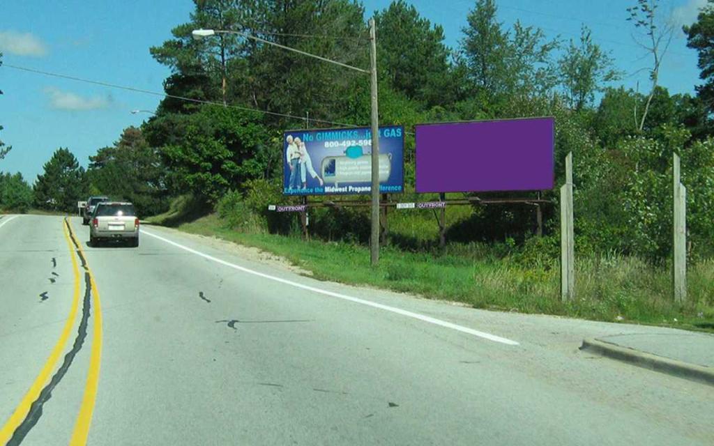 Photo of a billboard in Newaygo