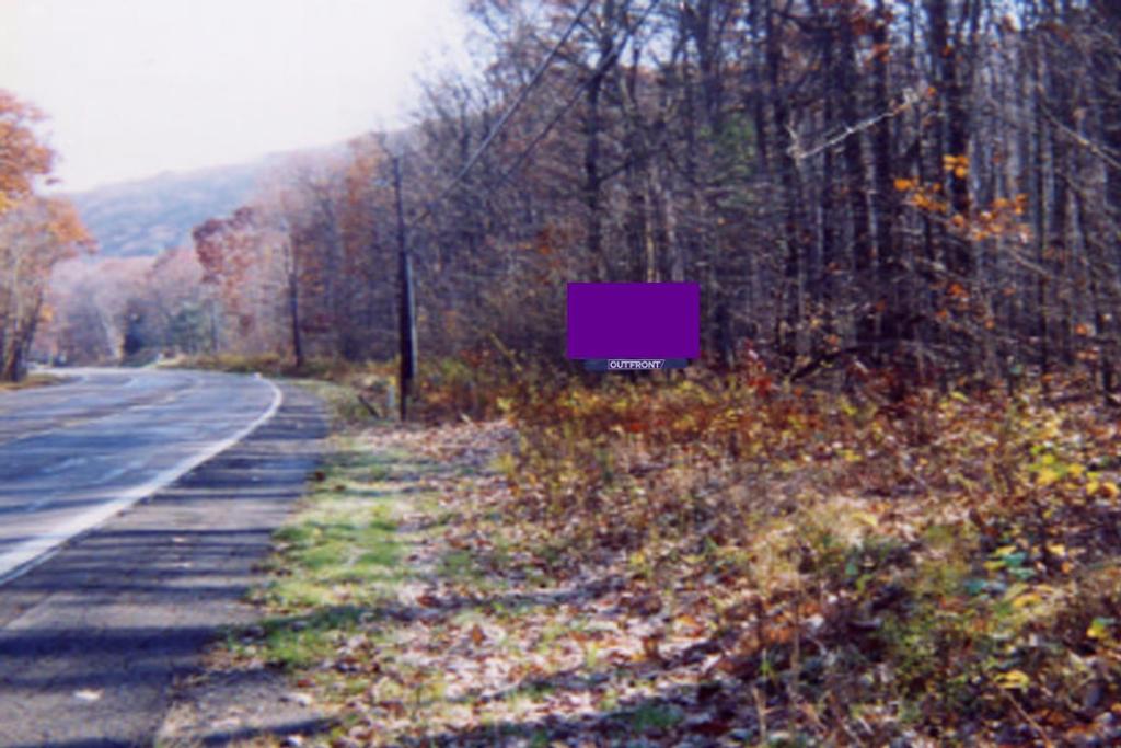 Photo of a billboard in Hazle Township