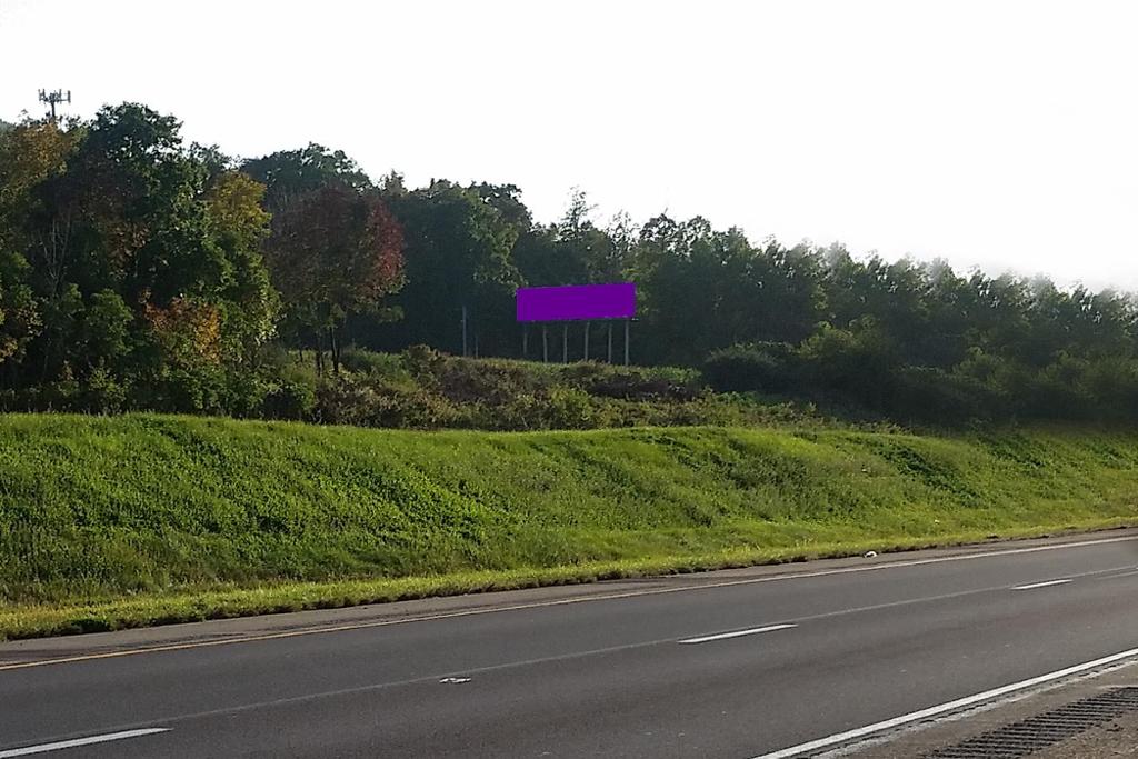 Photo of a billboard in Ferndale