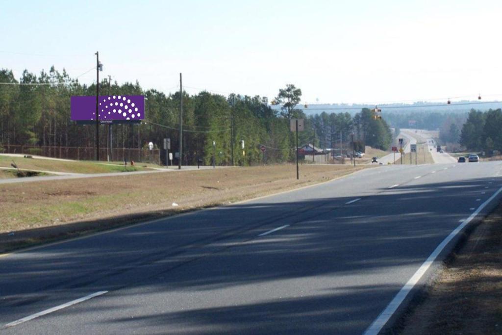 Photo of a billboard in Ansonville