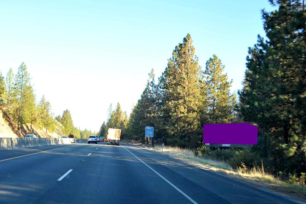 Photo of a billboard in Meadow Vista