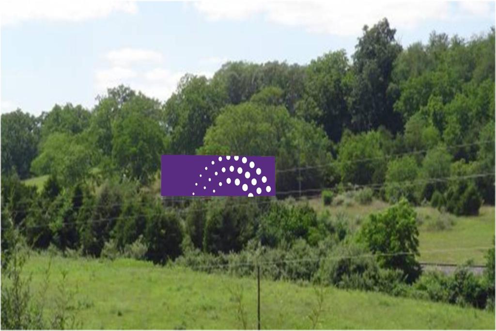 Photo of a billboard in Mt Sidney