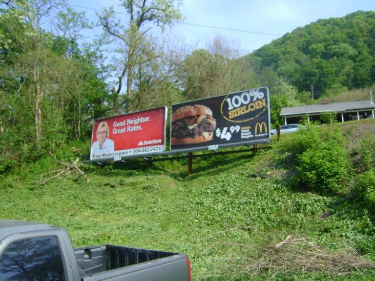 Photo of a billboard in Lizemores