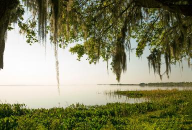 Apopka Florida billboards