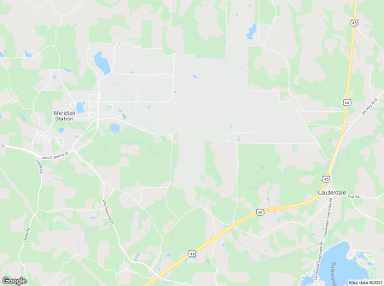 Nas Meridian 39309 billboards