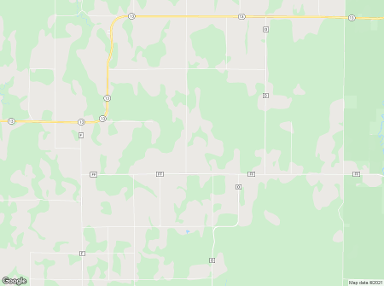 Maple 54854 billboards