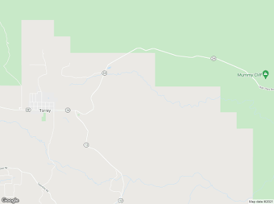 Torrey 84775 billboards